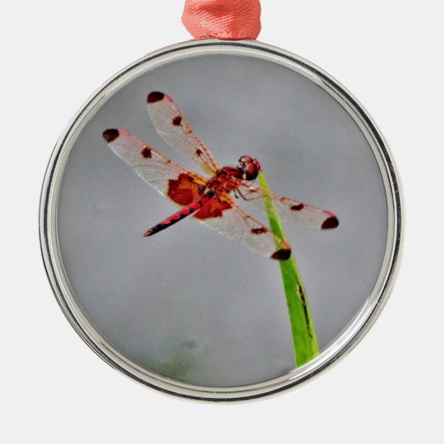 DSC00029.JPG METAL TREE DECORATION (Front)