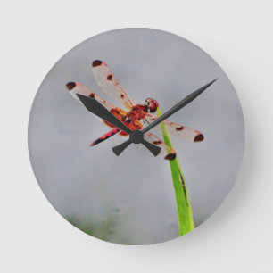 DSC00029.JPG ROUND CLOCK