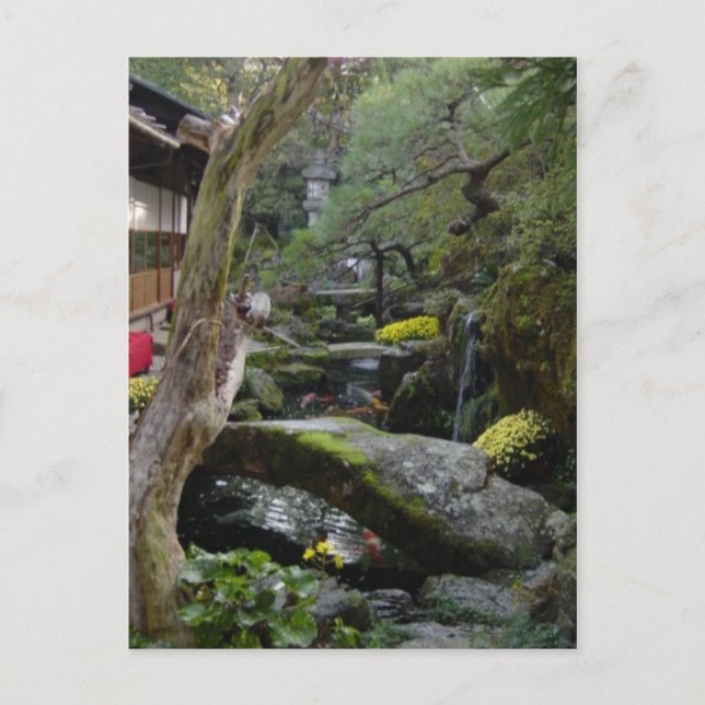 DSC00095 POSTCARD (Front)