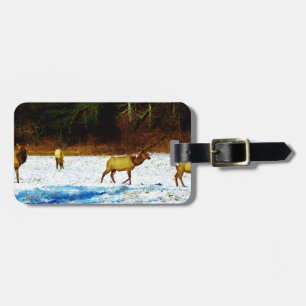 DSC00131.JPG LUGGAGE TAG