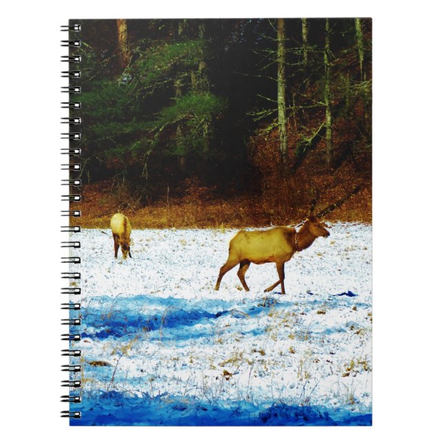 DSC00131.JPG SPIRAL NOTEBOOK (Front)