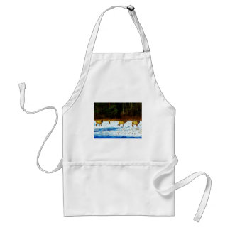 DSC00131.JPG STANDARD APRON
