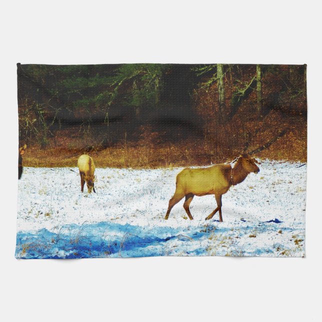 DSC00131.JPG TEA TOWEL (Horizontal)