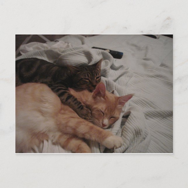 dsc00178[1] (2) postcard (Front)