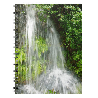 DSC00450.JPG SPIRAL NOTEBOOK