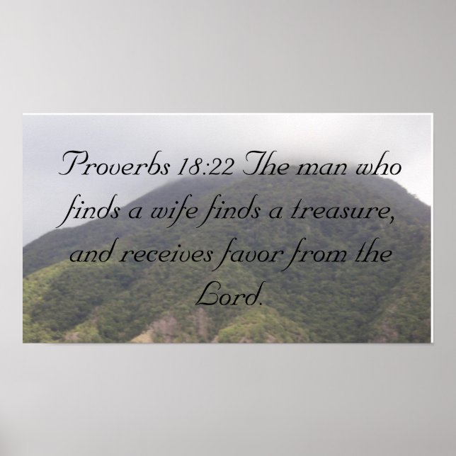 DSC00708, Proverbs 18:22 The man who finds a wi... Poster (Front)