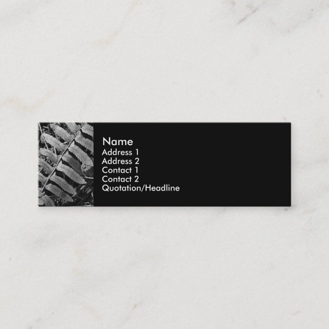 DSC02385 b Mini Business Card (Front)