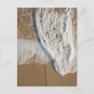 _DSC3760 POSTCARD