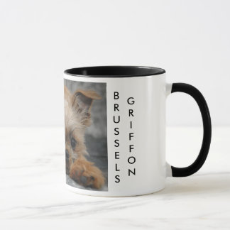 DSC_0014a, BRUSSELS, GRIFFON Mug