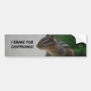 DSC_0241, I BRAKE FOR CHIPMUNKS! BUMPER STICKER