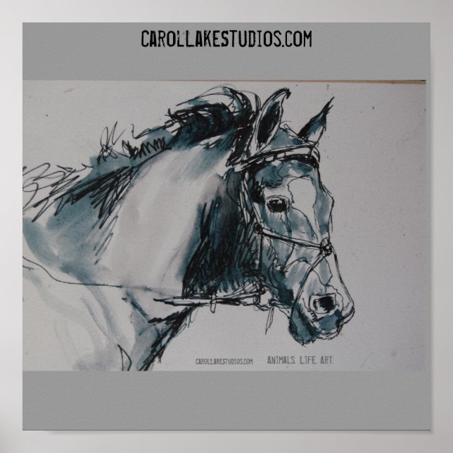 DSC_0462, Animals. Life. Art. , CarolLakeStudio... Poster (Front)