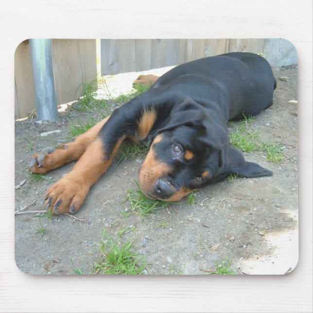 DSCF0140 MOUSE PAD (Front)