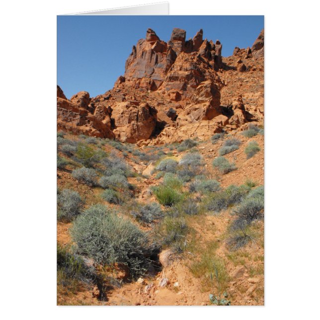 DSCF0344,~in your words~ (Front)