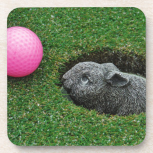 DSCF0652.JPG COASTER