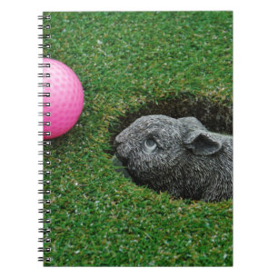 DSCF0652.JPG SPIRAL NOTEBOOK