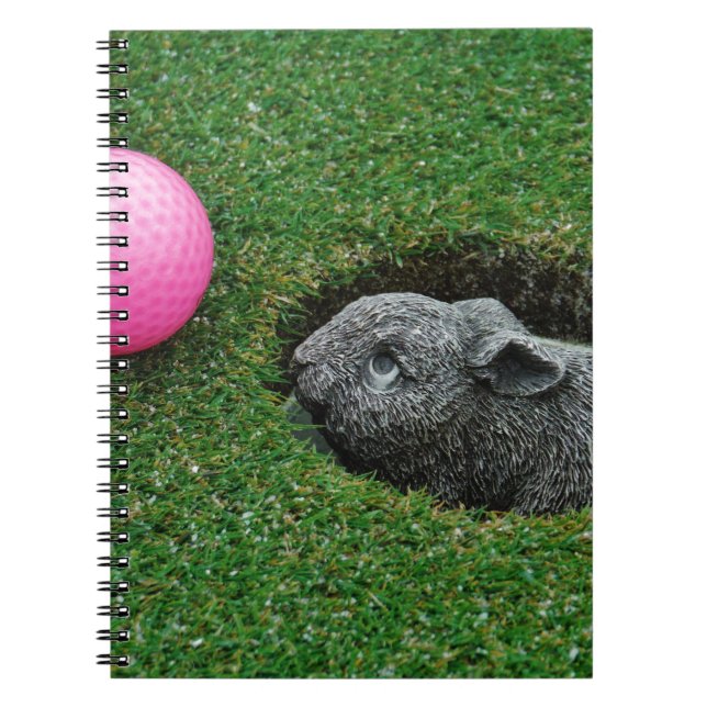 DSCF0652.JPG SPIRAL NOTEBOOK (Front)