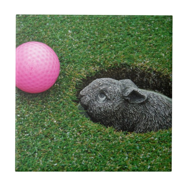 DSCF0652.JPG TILE (Front)