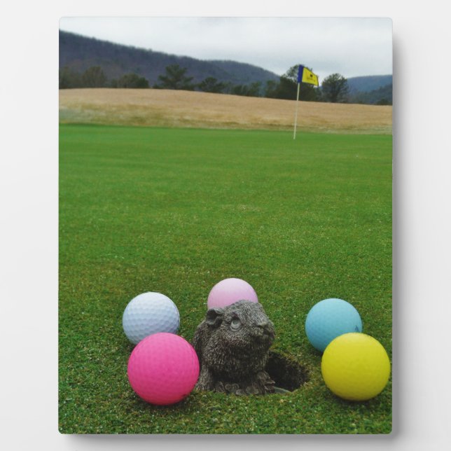 DSCF0692.JPG PLAQUE (Front)