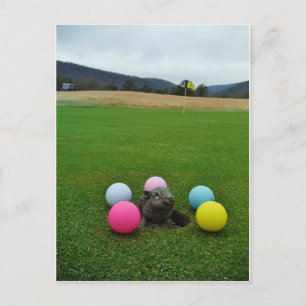 DSCF0692.JPG POSTCARD