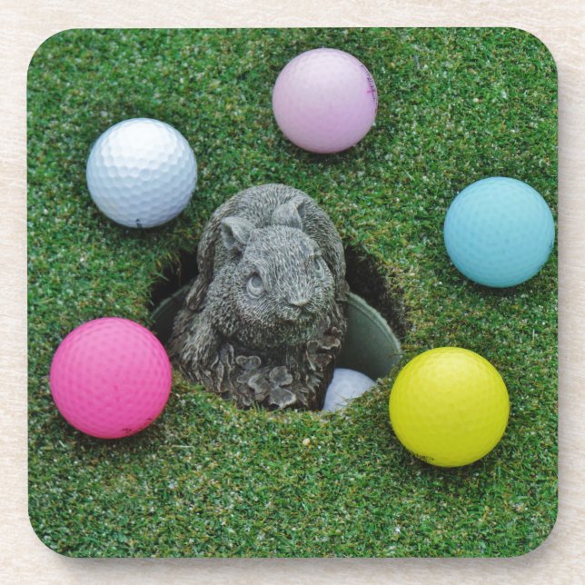 DSCF0698.JPG COASTER (Front)