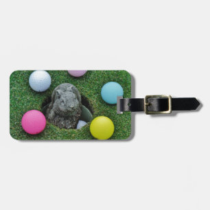 DSCF0698.JPG LUGGAGE TAG