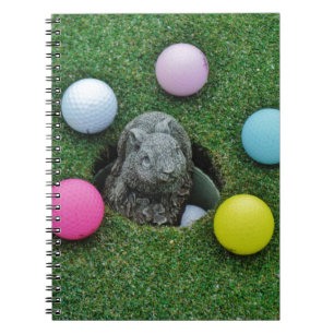 DSCF0698.JPG SPIRAL NOTEBOOK