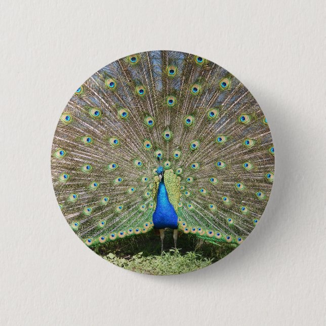 DSCF1062 6 CM ROUND BADGE (Front)