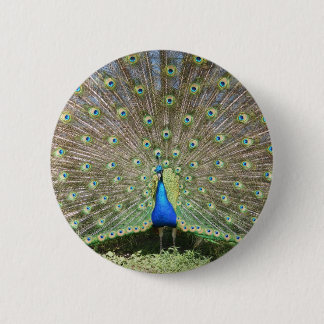 DSCF1062 6 CM ROUND BADGE