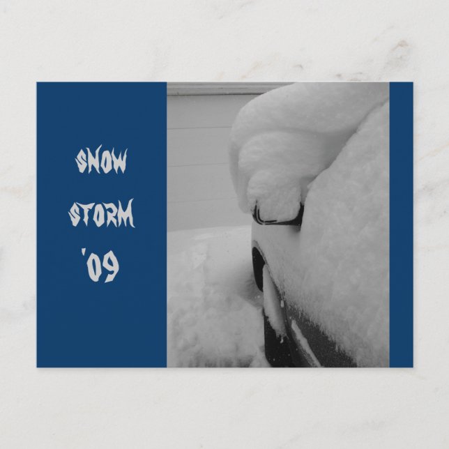 DSCF1087, snow storm '09 Postcard (Front)
