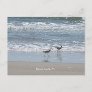 DSCF2949, Topsail Island, NC Postcard