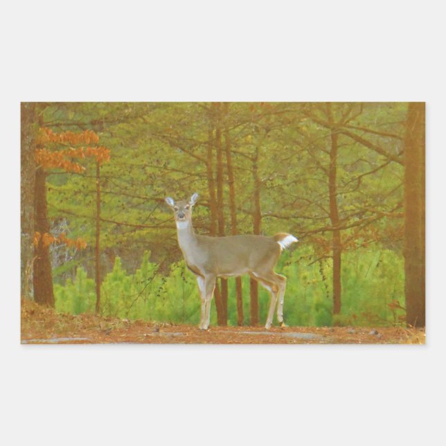 DSCF4041.JPG RECTANGULAR STICKER (Front)