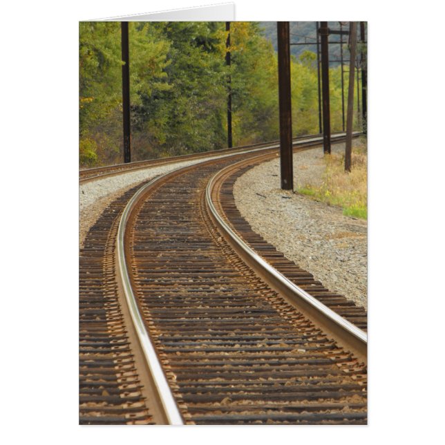 DSCF6914,~in your words~ (Front)