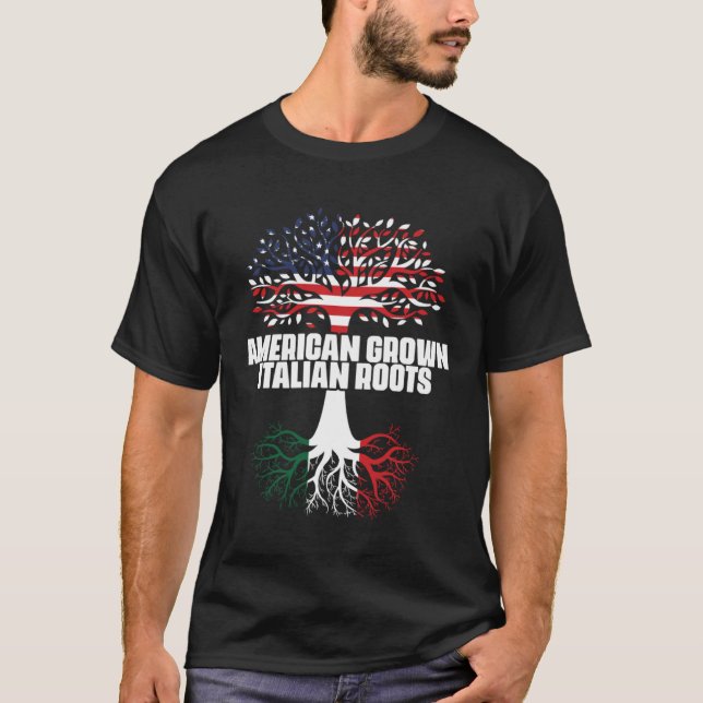 Dual Citizenship America Italy Flag Roots Italian  T-Shirt (Front)