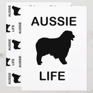 dual sided australian shepherd aussie life 