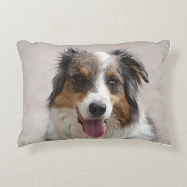 dual sided australian shepherd merle decorative cushion (Front)