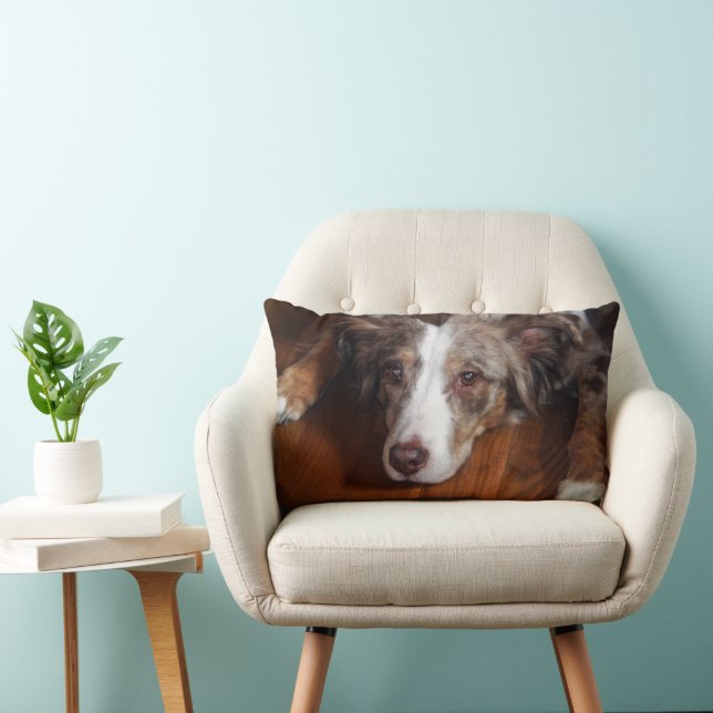 dual sided australian shepherd red merle laying fl lumbar cushion (Chair)