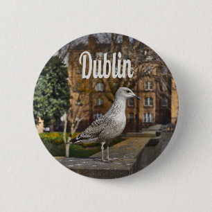 Dublin Ireland Bird on Brick Wall 6 Cm Round Badge