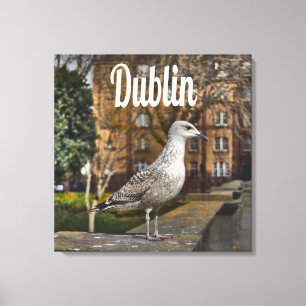 Dublin Ireland Bird on Brick Wall Canvas Print