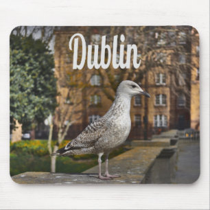 Dublin Ireland Bird on Brick Wall Mouse Pad