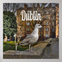 Dublin Ireland Bird on Brick Wall