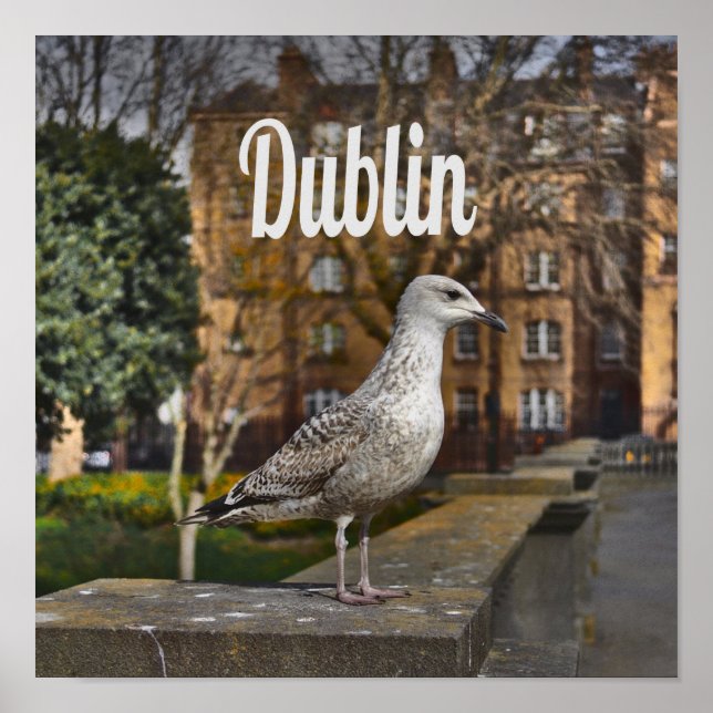 Dublin Ireland Bird on Brick Wall Poster (Front)