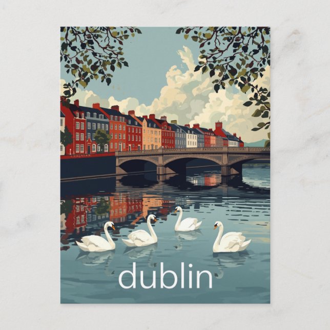 Dublin Ireland Liffey River Swans Postcard (Front)