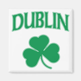 Dublin Irish Magnet