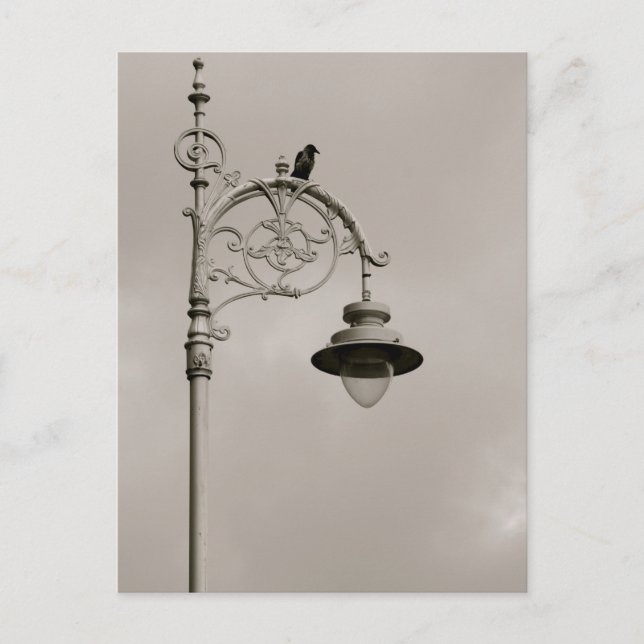 Dublin Lamp Postcard (Front)
