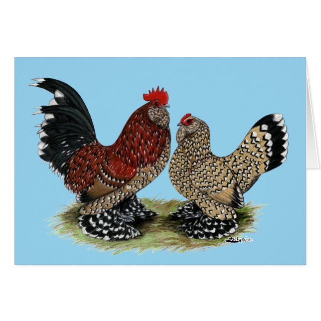 D'Uccle Bantams:  Mille Fleur (Front Horizontal)