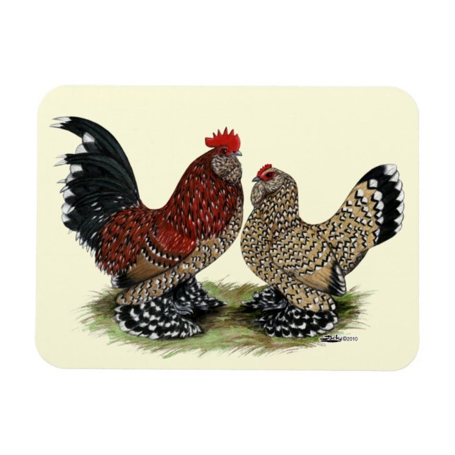 D'Uccle Bantams:  Mille Fleur Magnet (Horizontal)