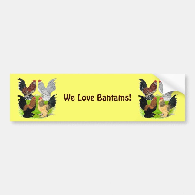 D'Uccles Four Roosters Bumper Sticker (Front)