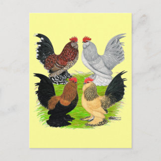 D'Uccles Four Roosters Postcard