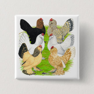 D'Uccles Six Hens 15 Cm Square Badge