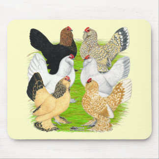 D'Uccles Six Hens Mouse Pad